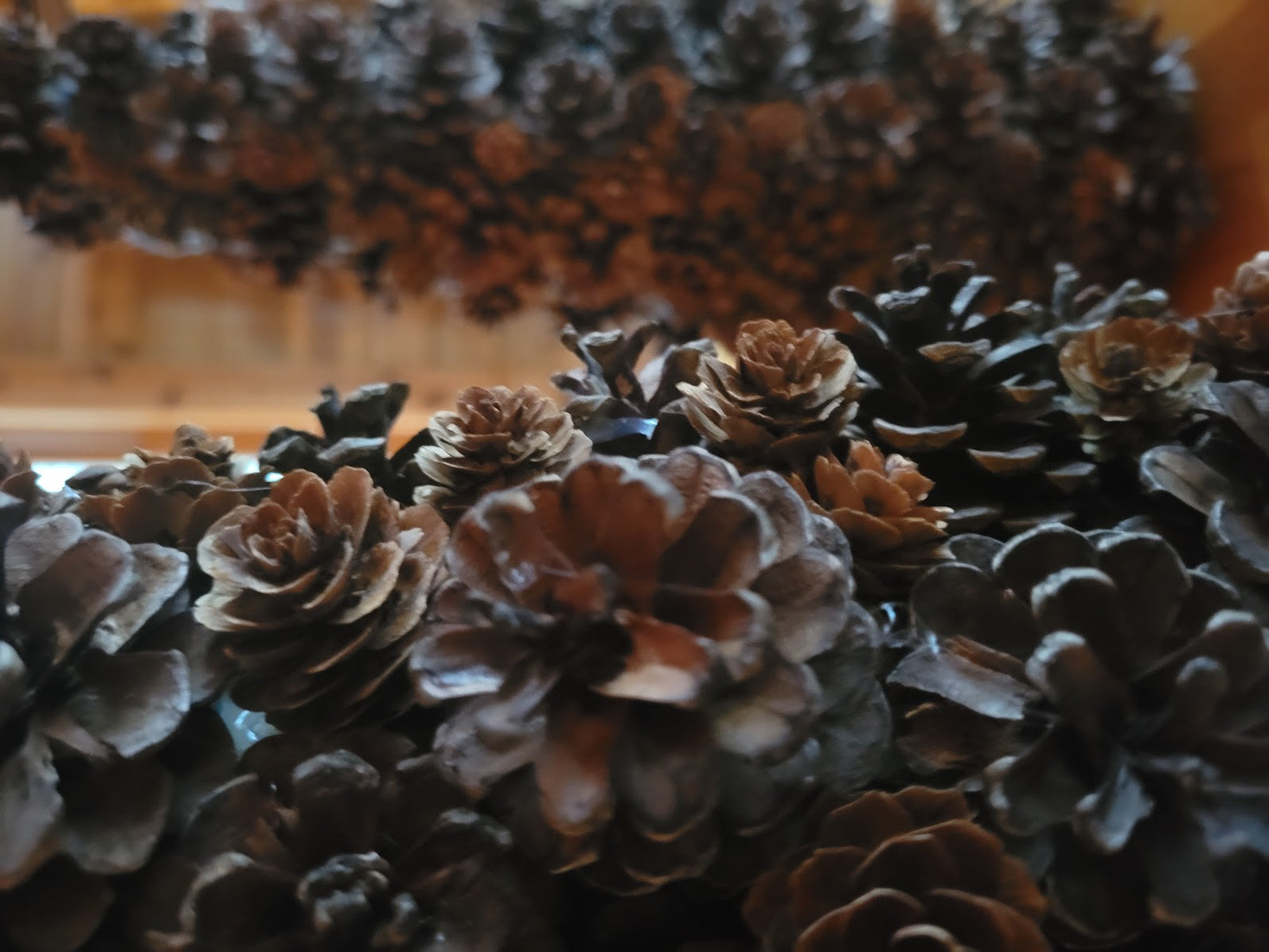 pinecone_wreath_holiday_ausable_wreath_company_pinecones